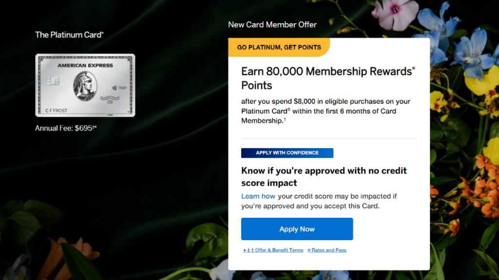 The Platinum Card® from American Express review